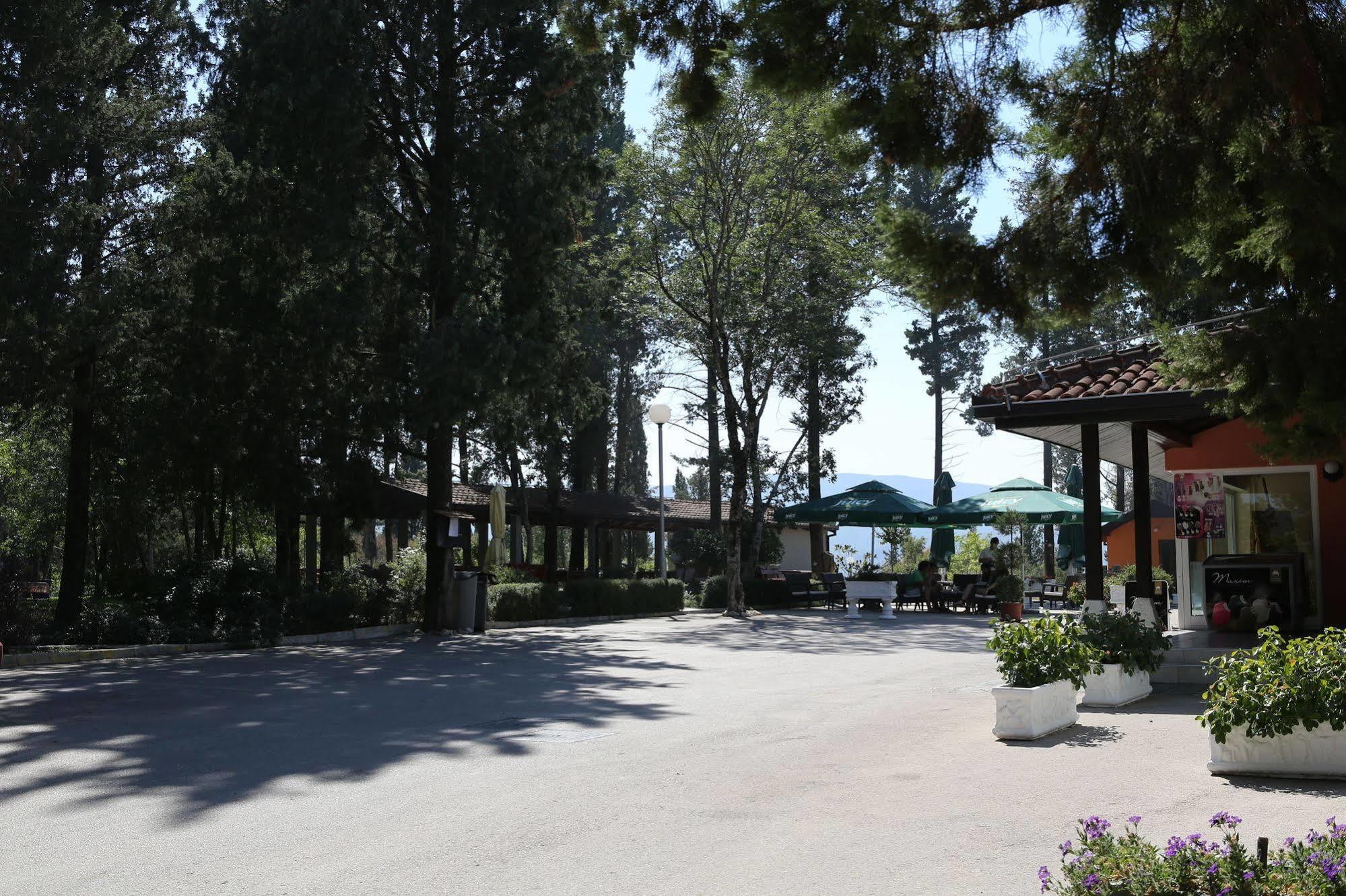 Hotel Park Visici Exterior foto